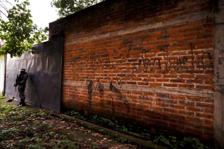 ONG: 138 deportados de EEUU a El Salvador fueron asesinados