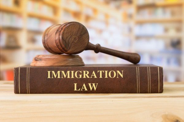 2e1ax bubbles entry Immigration Law
