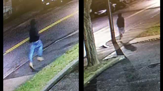 Comunidad de Waltham en vilo por ataques sorpresivos