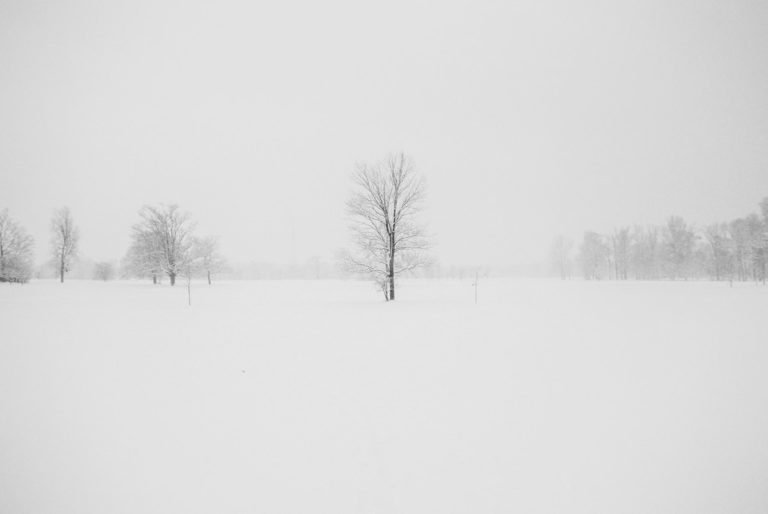 Tormenta lenta traería hasta 18 pulgadas de nieve a Massachusetts