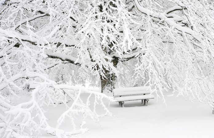 Snow pexels-pixabay-209839