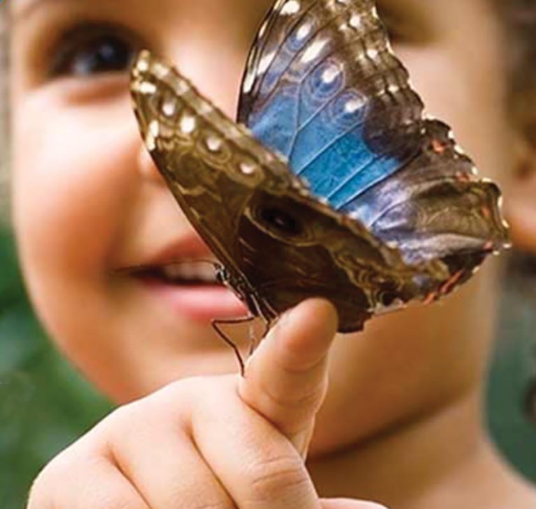 Ayudan a crear conciencia sobre la salud mental de los niños