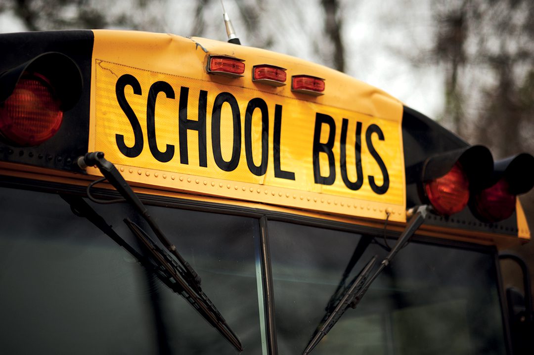 8 BusEscolar2