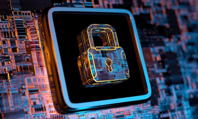 Falta de diversidad en el campo de la ciberseguridad