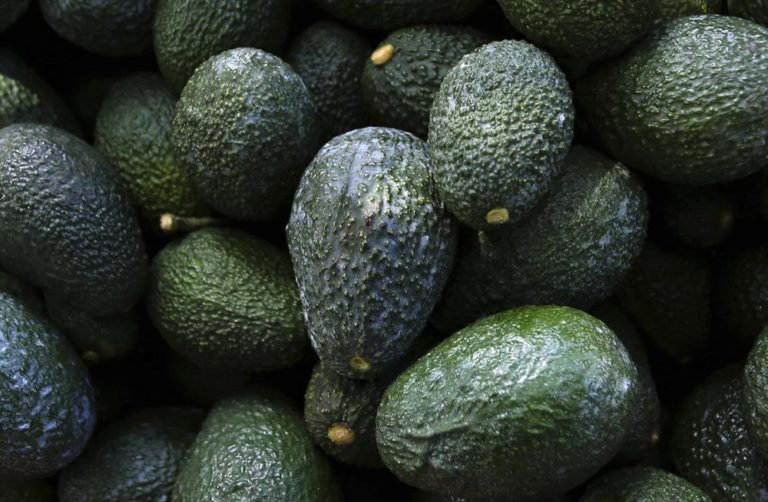 EEUU suspende importación de aguacate mexicano tras amenazas