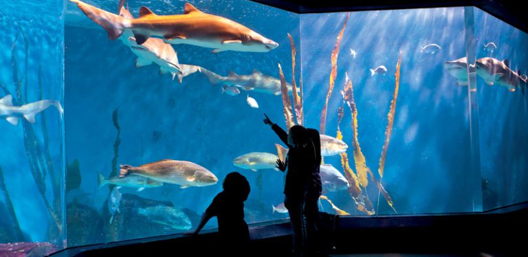 5 razones para visitar Connecticut