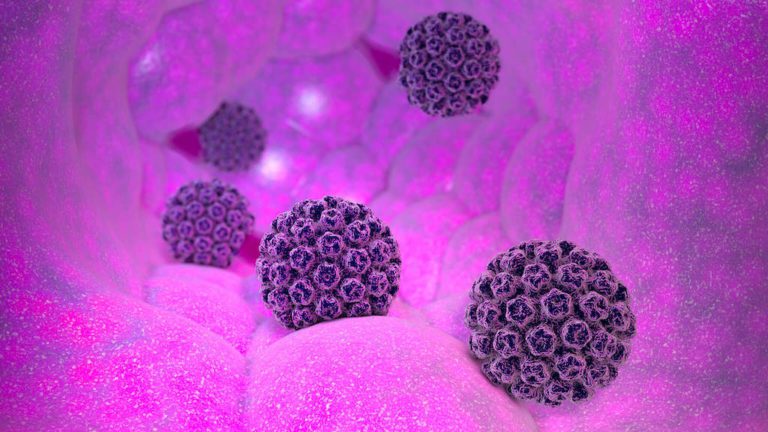 Virus del Papiloma Humano: todo lo que necesita saber