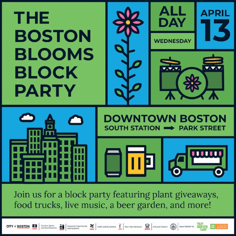 4 Boston Bloom