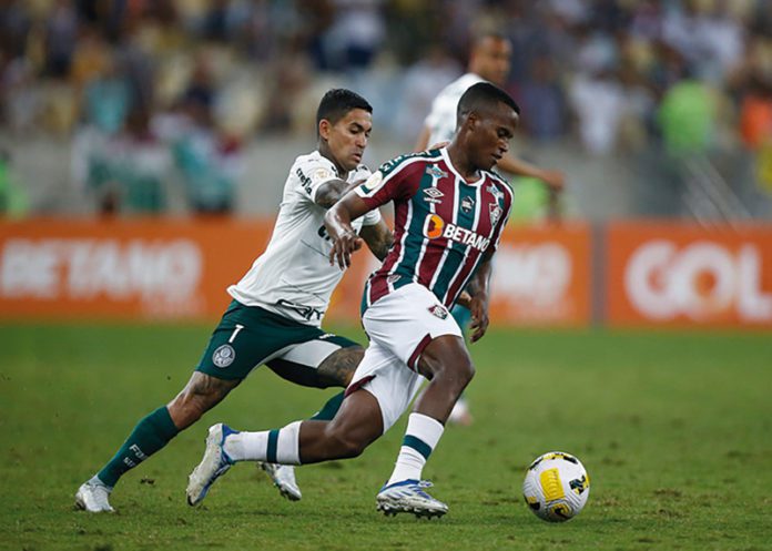 26_Dept-Palmeiras