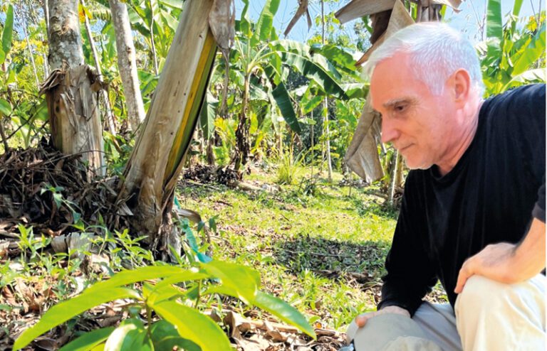 Mirando la selva del Perú