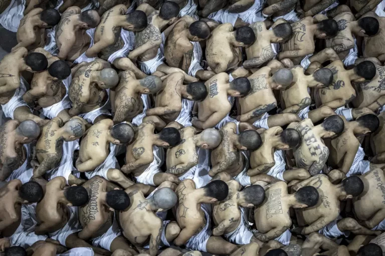 ONG documenta 153 muertos bajo custodia del Estado detenidos en régimen de excepción en El Salvador