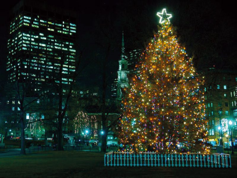 Arbol Navideño en los Boston Commons