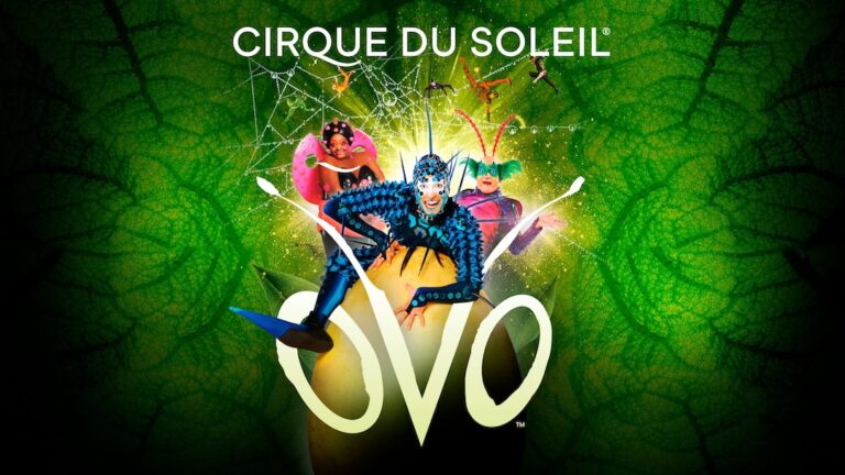 OVO by Cirque du Soleil