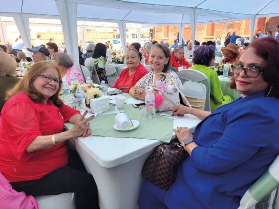 Felices: Personas mayores en plena celebración