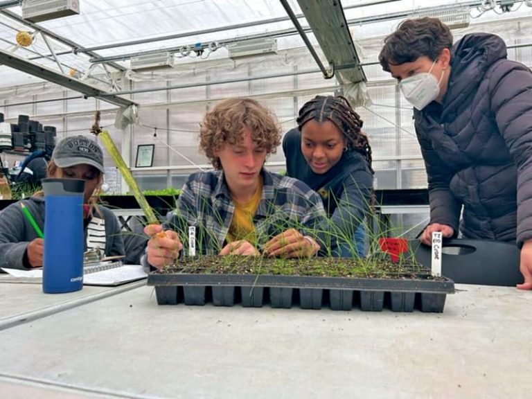 Ciudad de Boston y Bloomberg Philanthropies anuncian becas para jóvenes en proyectos de resiliencia climática