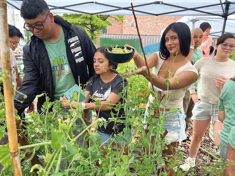 Ciudad de Boston y Bloomberg Philanthropies anuncian becas para jóvenes en proyectos  de resiliencia climática