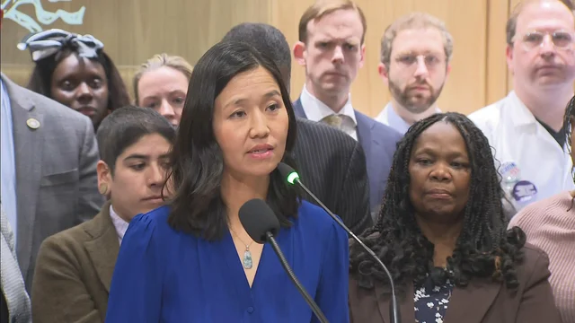 mayor-wu-ice