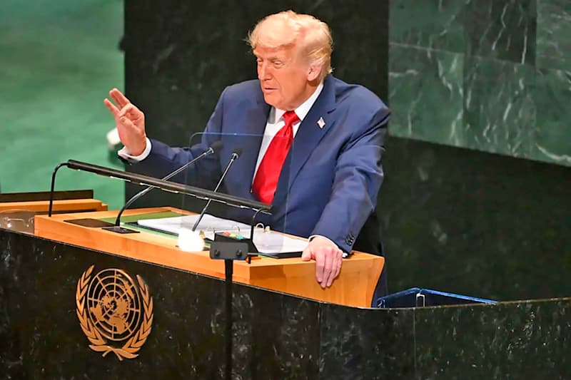 Trump
